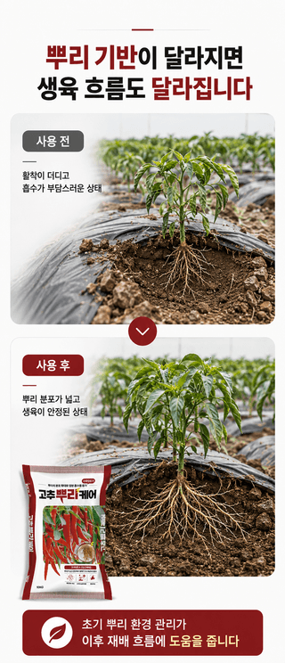 농업마켓365님의 작성글 사진