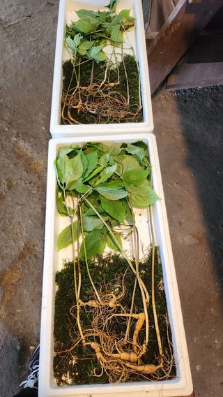 장기수님의 자유주제 · 사진전 작성글 사진