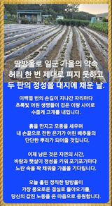 팜모닝 자유주제·자유게시판 게시글 이미지