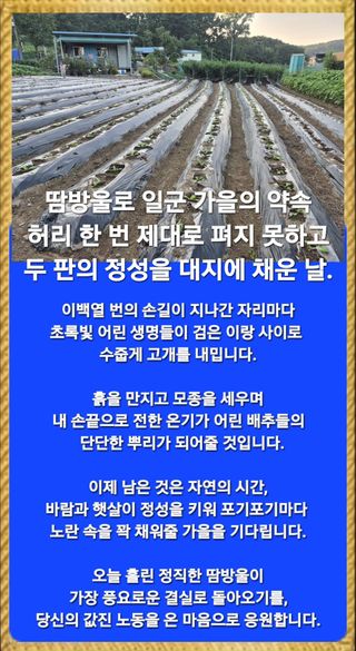 Kns4324님의 자유주제 · 자유게시판 작성글 사진