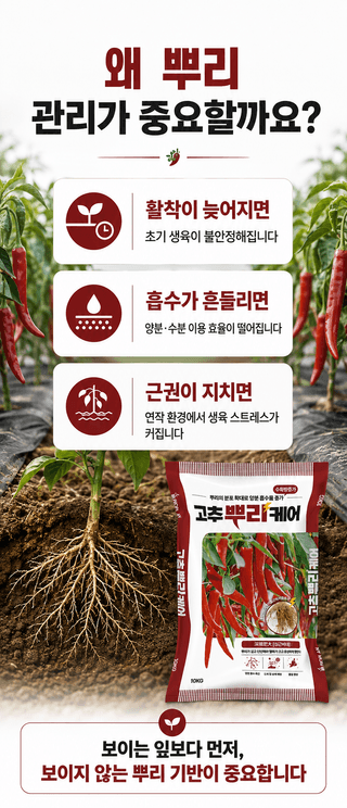 농업마켓365님의 작성글 사진