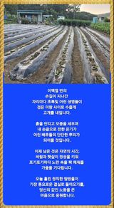 팜모닝 자유주제·자유게시판 게시글 이미지