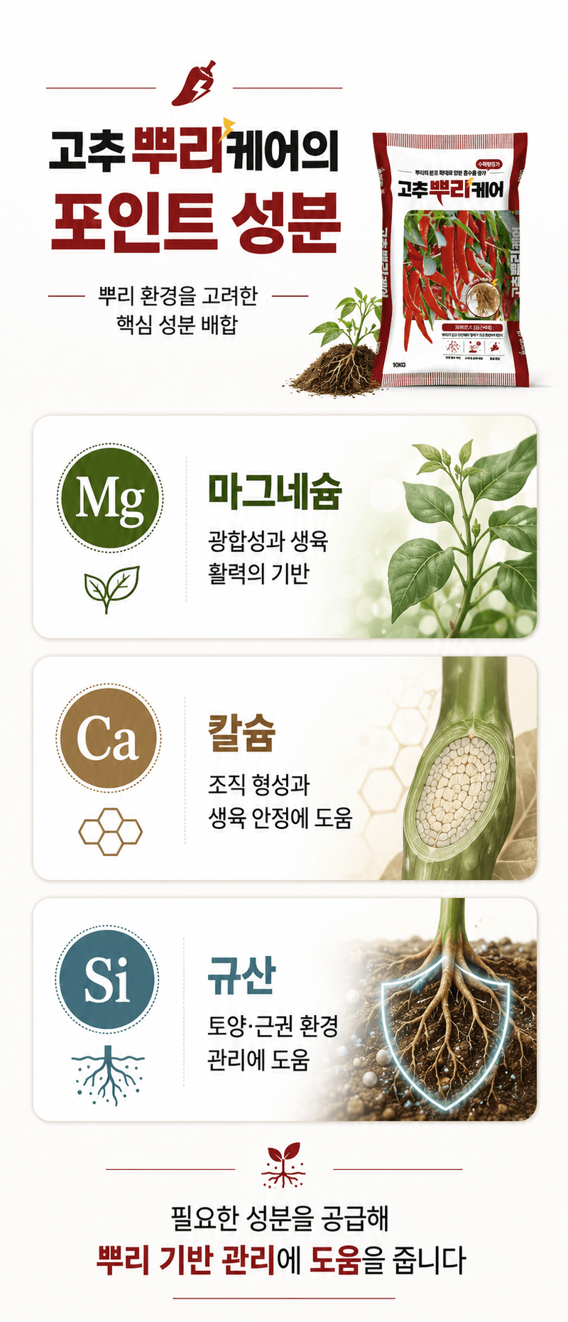농업마켓365님의 장터 판매 상품 [고추뿌리케어 2KG/10KG 발근강화제 토양개량제 뿌리발근제 활착촉진] 첨부 사진