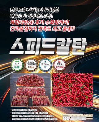 김용준님의 자유주제 · 자유게시판 작성글 사진