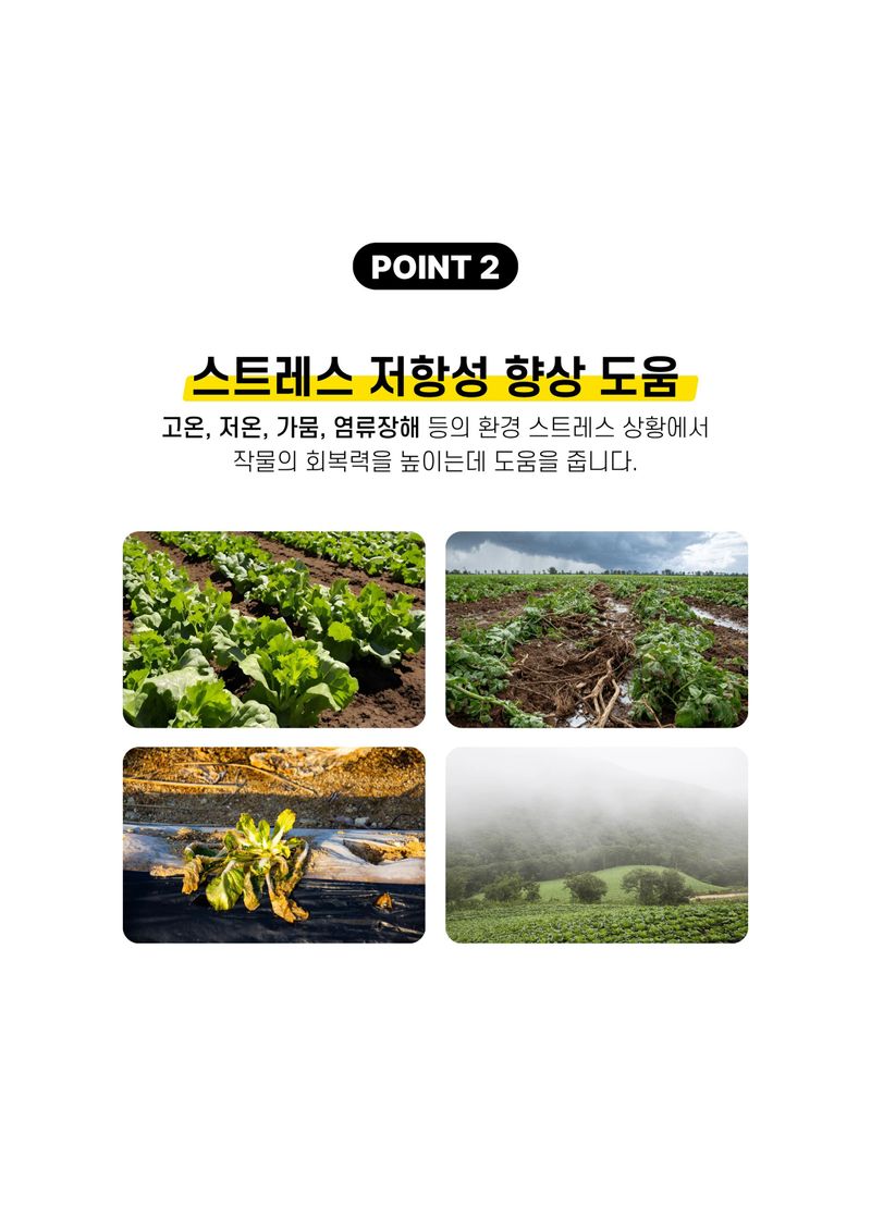 세종농자재센터님의 장터 판매 상품 [가든필리아 명품아미노 500ml 아미노산  비료 미량요소 한번에 시비 모든작물용 복합비료 오이 관주비료 ] 첨부 사진