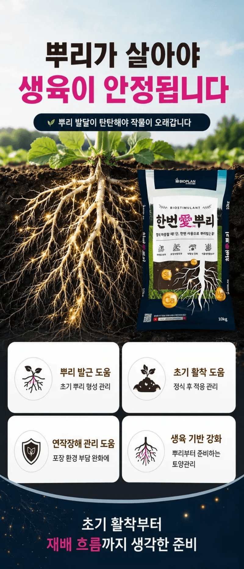 농업마켓365님의 장터 판매 상품 [한번애뿌리 10KG 유기농업자재 토양관리 토양개량제 뿌리활착제] 첨부 사진