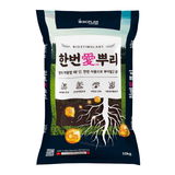 팜모닝 · 게시글 이미지