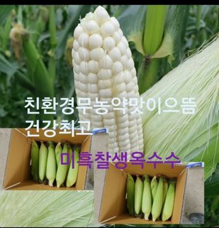 장관덕님의 자유주제 · 자유게시판 작성글 사진