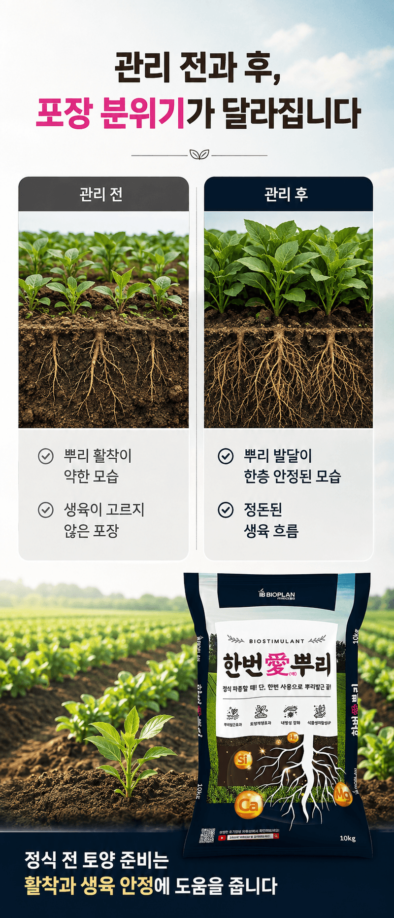 농업마켓365님의 장터 판매 상품 [한번애뿌리 10KG 유기농업자재 토양관리 토양개량제 뿌리활착제] 첨부 사진