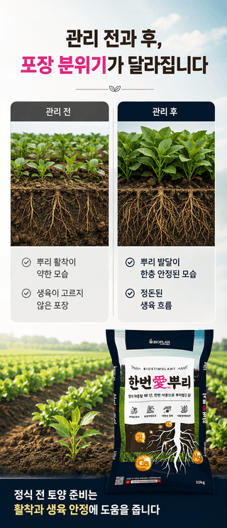 농업마켓365님의 작성글 사진