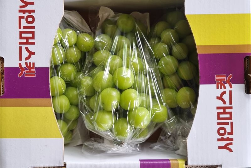 땡초고추님의 장터 판매 상품 [김천 샤인머스켓 2kg (3송이)] 첨부 사진