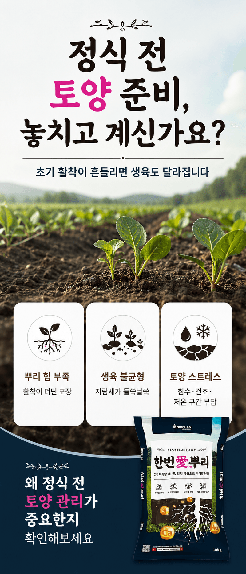 농업마켓365님의 장터 판매 상품 [한번애뿌리 10KG 유기농업자재 토양관리 토양개량제 뿌리활착제] 첨부 사진