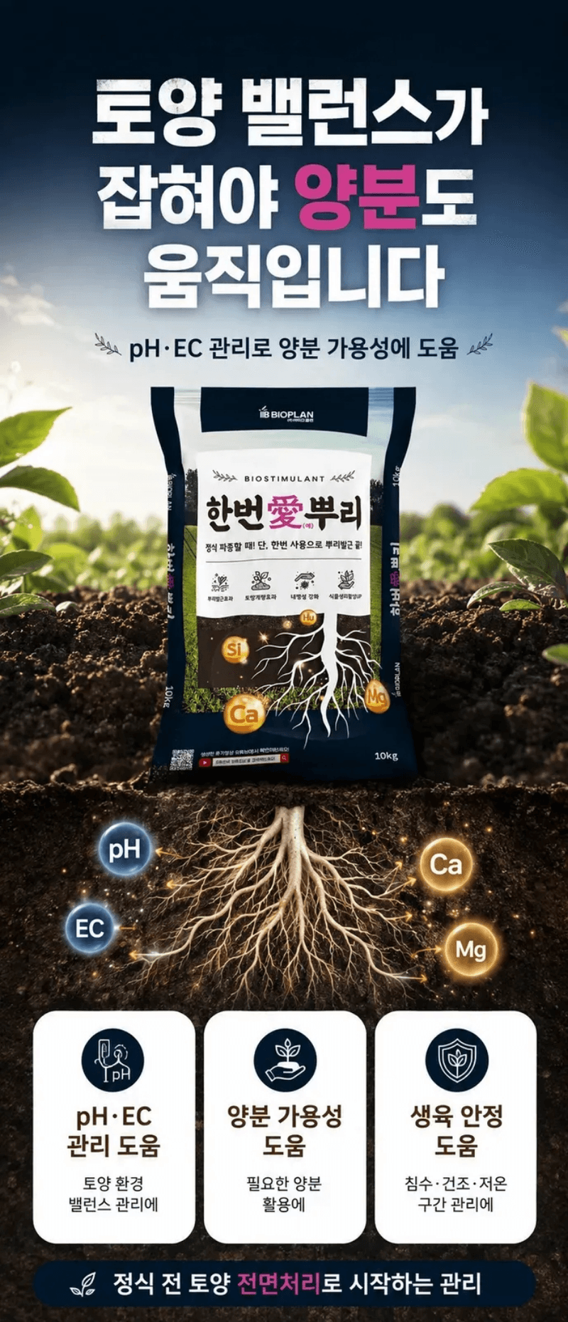 농업마켓365님의 장터 판매 상품 [한번애뿌리 10KG 유기농업자재 토양관리 토양개량제 뿌리활착제] 첨부 사진
