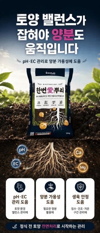 농업마켓365님의 작성글 사진