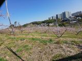 플러스텃밭주인님의 자유주제·자유게시판 작성글 사진