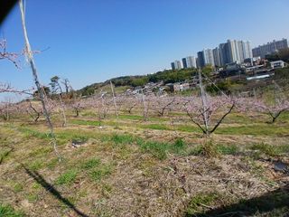 플러스텃밭주인님의 자유주제 · 자유게시판 작성글 사진