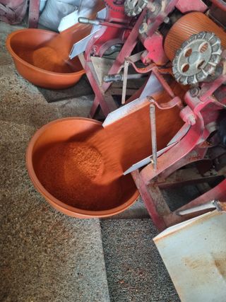 논산푸른팜님의 자유주제·자유게시판 작성글 사진