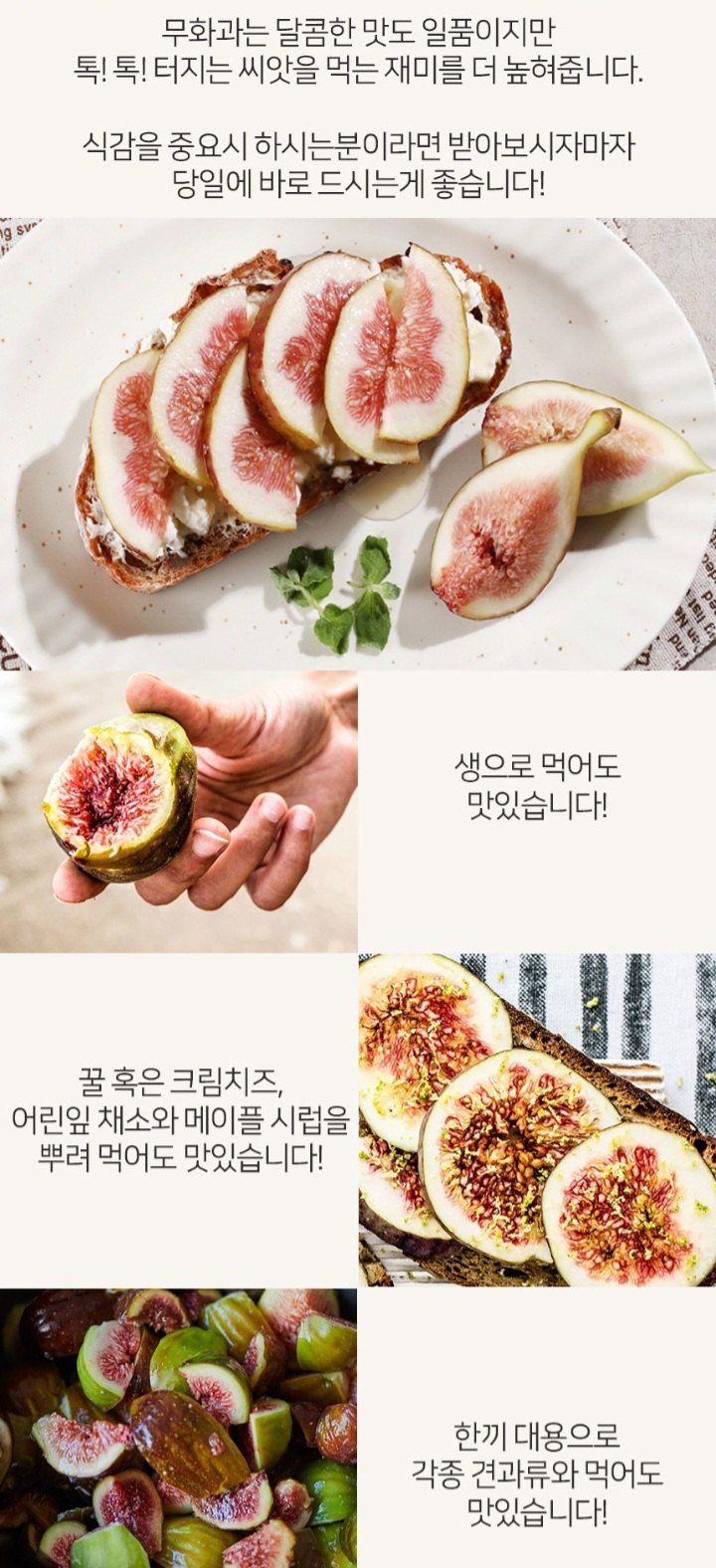 자두14488님의 장터 판매 상품 [무화과 과일계의 여왕 ] 첨부 사진