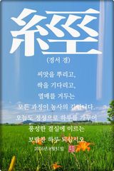 팜모닝 자유주제·자유게시판 게시글 이미지