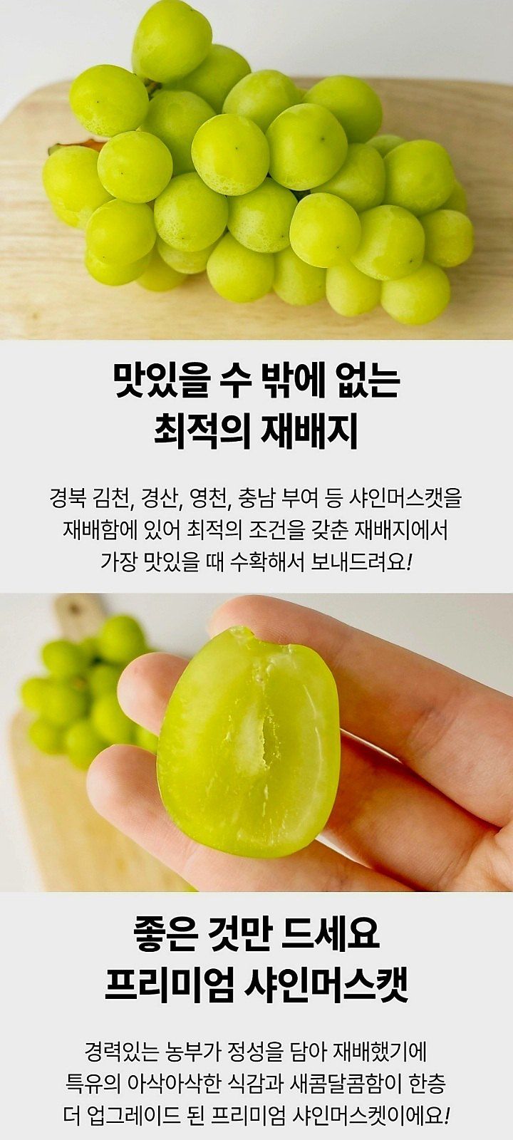 자두14488님의 장터 판매 상품 [샤인머스켓 특품 2kg ] 첨부 사진