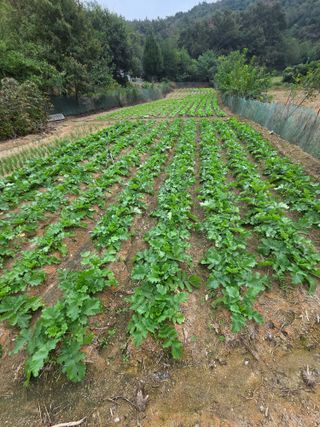 退役軍人 劉永喆님의 자유주제 · 자유게시판 작성글 사진
