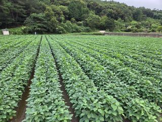 정철주님의 자유주제 · 자유게시판 작성글 사진