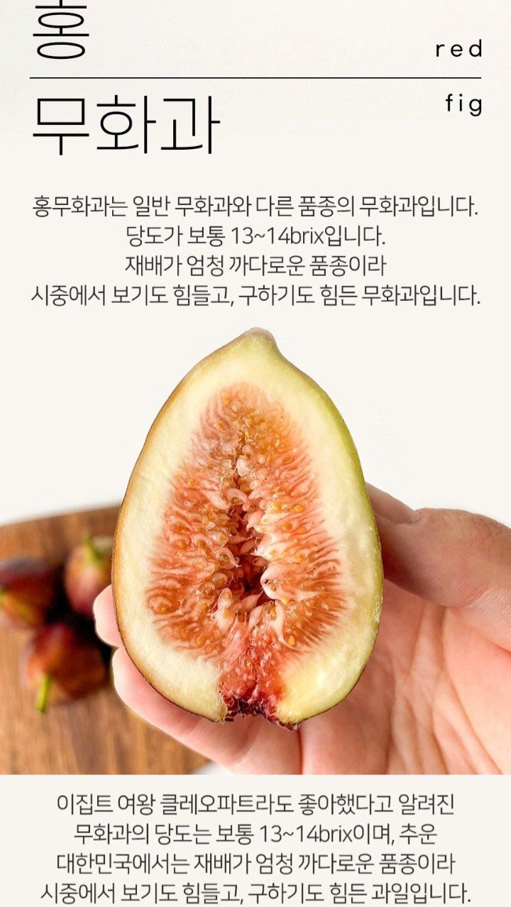 자두14488님의 장터 판매 상품 [무화과 과일계의 여왕 ] 첨부 사진
