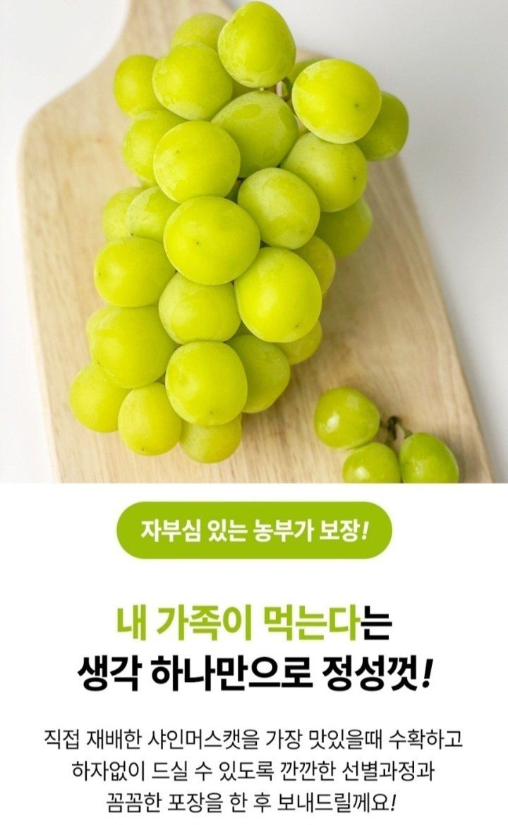 자두14488님의 장터 판매 상품 [샤인머스켓 특품 2kg ] 첨부 사진