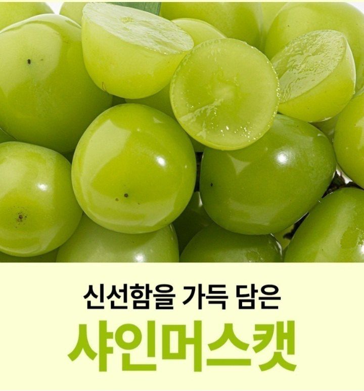 자두14488님의 장터 판매 상품 [샤인머스켓 특품 2kg ] 첨부 사진