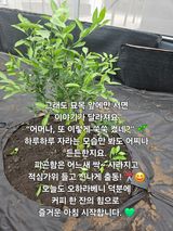 팜모닝 자유주제·자유게시판 게시글 이미지