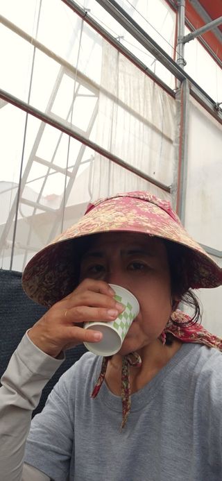 새달귤농장님의 자유주제 · 자유게시판 작성글 사진