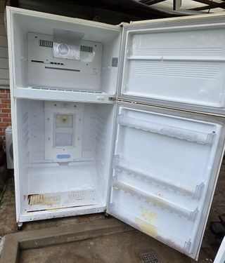 달맛햇복숭아농원님의 자유주제 · 자유게시판 작성글 사진