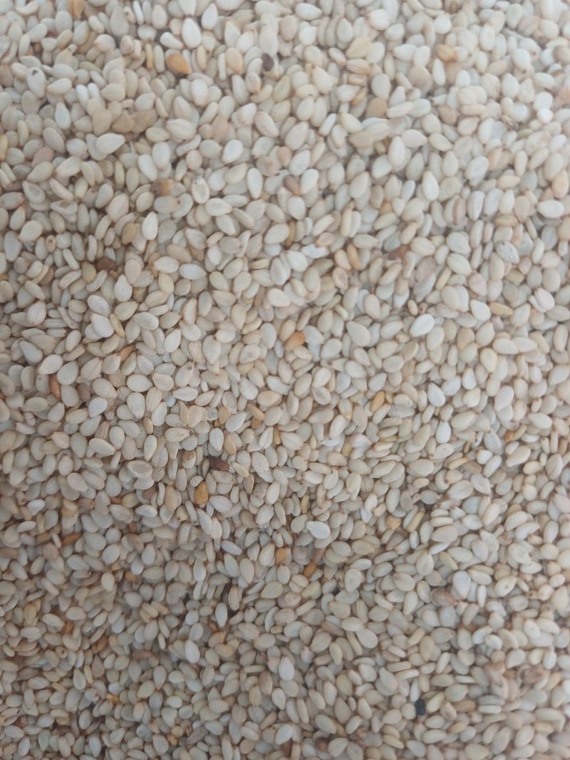 장터 상품 [참깨(가지깨)판매(1되1.2kg)] 썸네일