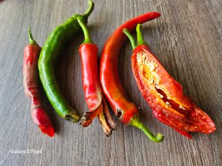 영숙님의 자유주제 · 자유게시판 작성글 사진