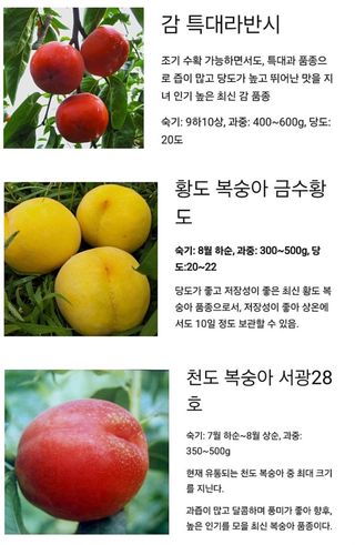 주윤발이님의 자유주제 · 자유게시판 작성글 사진