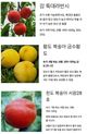 홈 갤러리 이미지