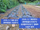 박성민님의 자유주제·자유게시판 작성글 사진