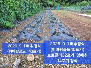 박성민님의 자유주제 · 자유게시판 작성글 사진