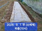 팜모닝 자유주제·자유게시판 게시글 이미지
