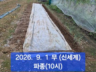 박성민님의 자유주제·자유게시판 작성글 사진