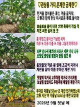 팜모닝 자유주제·자유게시판 게시글 이미지