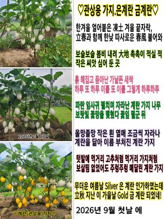 조용길님의 자유주제·자유게시판 작성글 사진