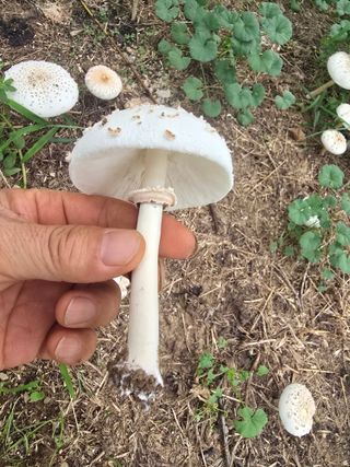 할배맥가이버님의 자유주제 · 자유게시판 작성글 사진