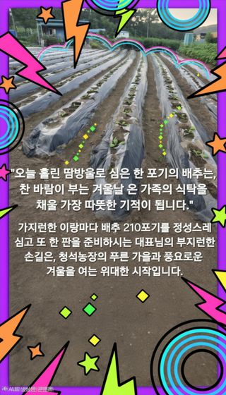 Kns4324님의 자유주제 · 자유게시판 작성글 사진