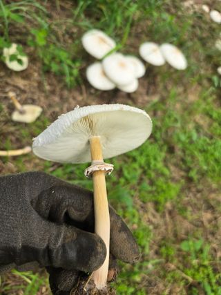 할배맥가이버님의 자유주제 · 자유게시판 작성글 사진