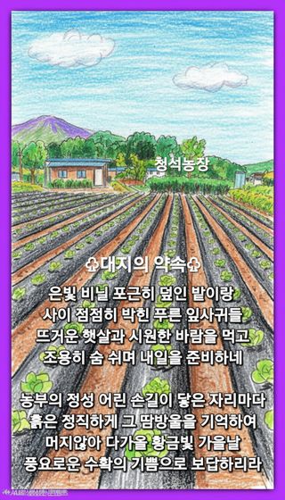 Kns4324님의 자유주제·자유게시판 작성글 사진