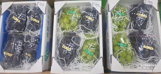 달맛햇복숭아농원님의 자유주제 · 자유게시판 작성글 사진