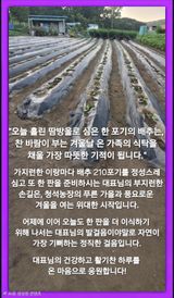 Kns4324님의 자유주제·자유게시판 작성글 사진