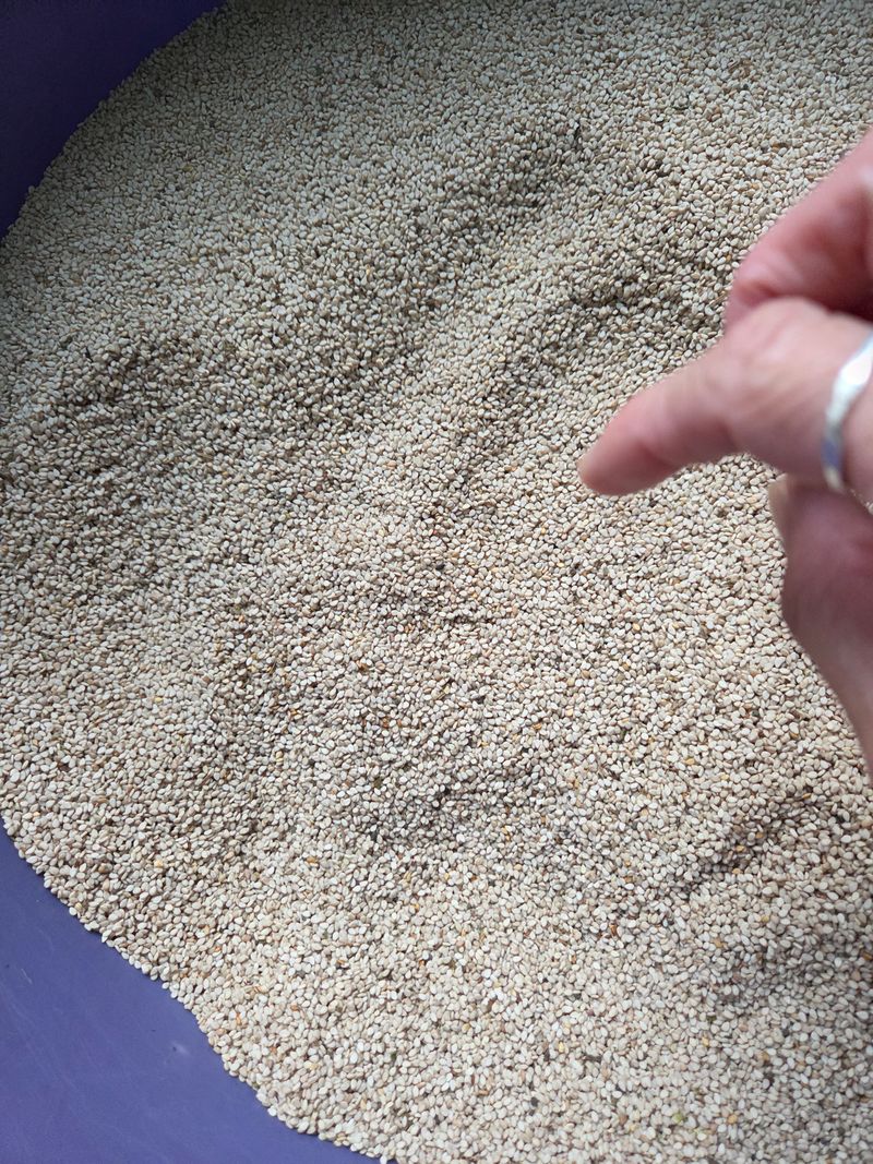 장터 상품 [26년 제주도 햇참깨 1KG] 썸네일