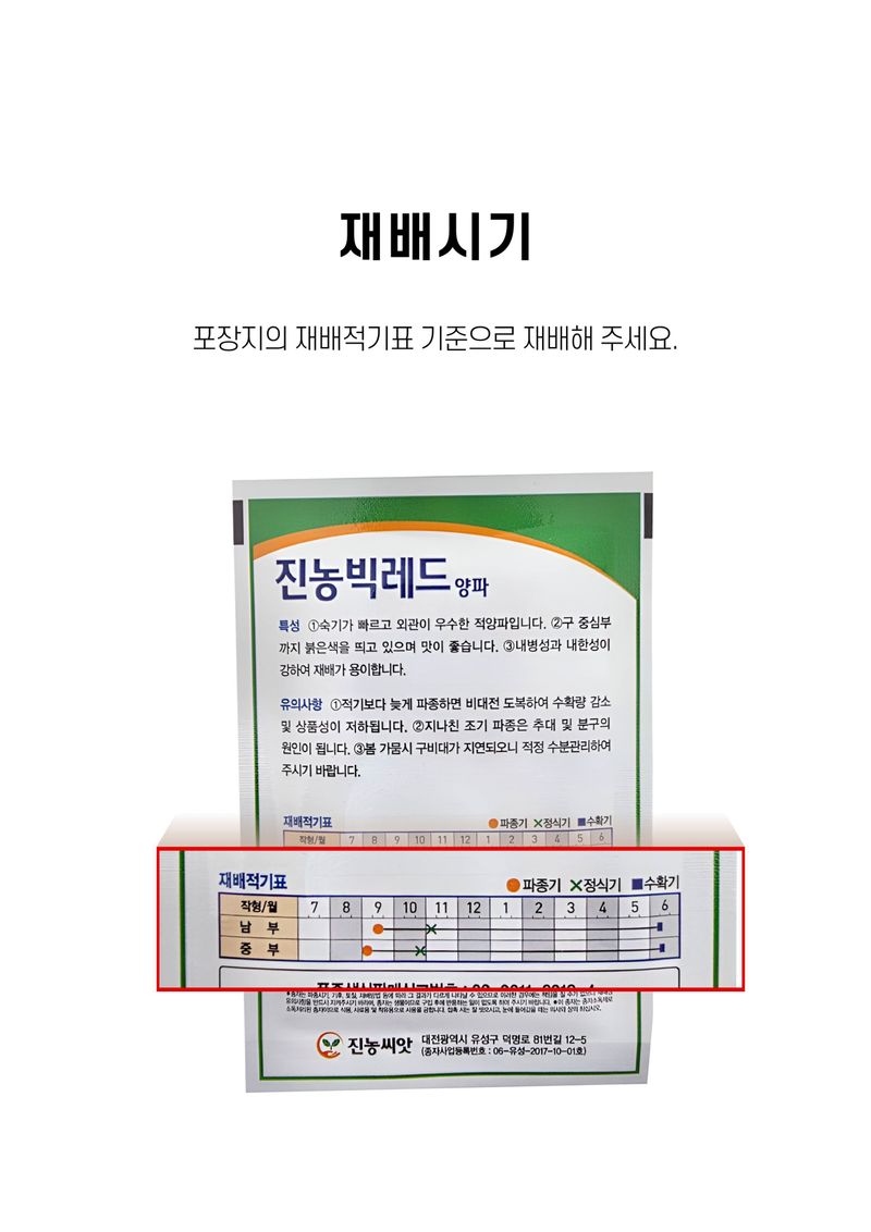 세종농자재센터님의 장터 판매 상품 [진농빅레드양파씨앗 빨간 양파씨앗 ] 첨부 사진